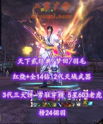 【天下贰经典/梦回/羽毛（重击）】榜24羽毛！73级！红烧+全14钻！2代天域武器&3代三大饼！常驻穿精！5星603老虎！双80满级马——乄二爷