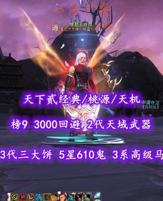 【天下贰经典/桃源/天机（疾小攻）】榜11！3000回避！2代天域武器&3代三大饼！5星610鬼！3系高级马——愤怒五哈肉