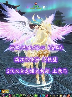 【神启/无双/冰心（念医）】满20钻18护！2代双金龙渊太初翅！土豪马！高铁壁——雾江眠