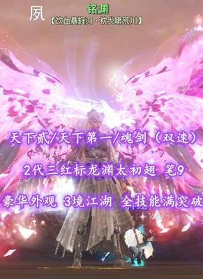 【天下贰/天下第一/魂剑（双速）】2代三红标龙渊太初翅！豪华外观！笔9！3境江湖！全技能满突破——铭渊