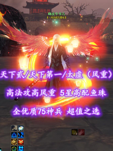 【天下贰/天下第一/太虚（风重）】高法攻高风重！5星高配鱼珠！全优质75神兵！超值之选——嗨皮牛爷儿