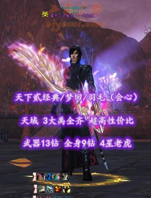 【天下贰经典/梦回/羽毛（会心）】天域+3大禹全齐！武器13钻+全身9钻！4星老虎！超高性价比——玖丷