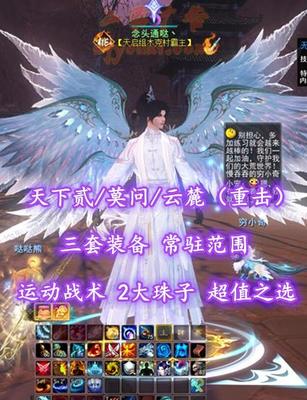 【天下贰/莫问/云麓（重击）】三套装备！常驻范围！运动战术！2大珠子！超值之选——念头通哒丶