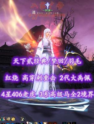 【天下贰经典/梦回/羽毛】红烧！72级！高穿刺重击！2代大禹佩！4星406老虎！3系高级马（全2境界）！业火套时装+火麒麟坐骑——一阿渊一