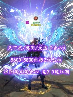 【天下贰/莫问/太虚（会心）】5600+5800红标2代太初！极限高攻高会心！笔9！3境江湖——周大生