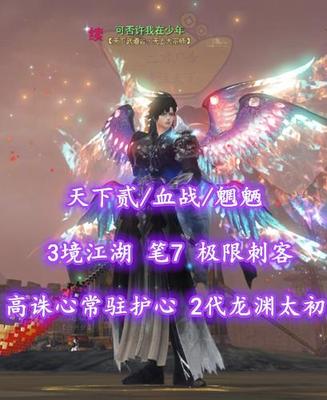 【天下贰/血战/魍魉】高诛心+常驻护心！2代龙渊太初！3境江湖！笔7！极限刺客——可否许我在少年