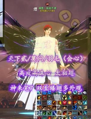 【天下贰/莫问/羽毛（会心）】高攻高诛心+太初翅+神来笔7+双至臻翅多外观！——凝墨丶紙殺不渡