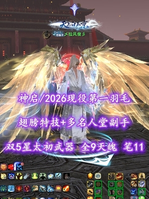 【神启/第一羽毛】2026现役第一羽毛！翅膀特技+多名人堂副手！双5星太初武器！全9天魄！笔11！2代全4满6000高分龙渊太初翅+顶奢环神+传世翅等豪华外观——乄拉风俊彡