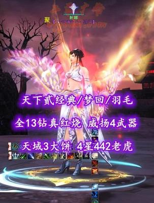 【天下贰经典/梦回/羽毛（会心）】全13钻真红烧！威扬4武器！天域3大饼！4星442老虎——射雕
