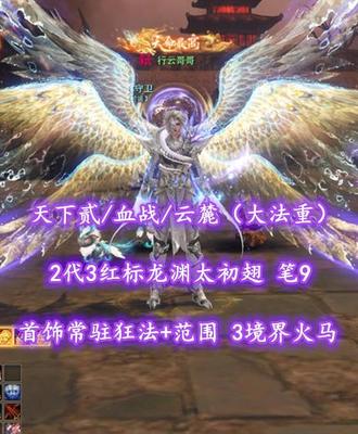 【天下贰/血战/云麓（大法重）】2代3红标龙渊太初翅！首饰常驻“狂法+范围”！笔9！3境界火马——行云哥哥