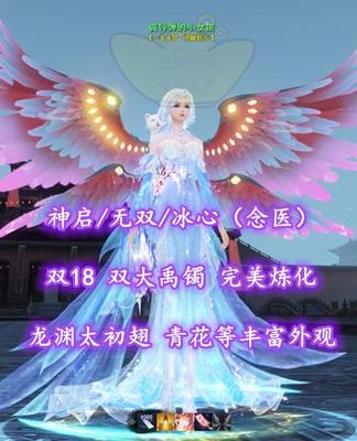 【神启/无双/冰心（念医）】双18！双大禹镯！龙渊太初翅！丰富外观——買导弾的小女孩