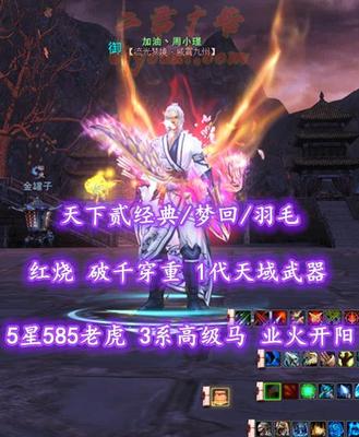 【天下贰经典/梦回/羽毛（重击）】73级！红烧！破千穿重！1代天域武器！5星585老虎！3系高级马！“业火+开阳”外观——加油丶周小瑾