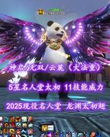 【神启/无双/云麓（大法重）】2025现役名人堂！5星名人堂太初！龙渊太初翅！11技能威力！梦中情YL——与尔朝朝丶