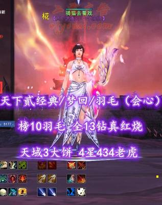 【天下贰经典/梦回/羽毛（会心）】榜10羽毛！全13钻真红烧！天域3大饼！4星434老虎——骑猫去看戏