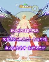 【神启/紫禁/龙巫（会心/念大攻）】双18钻！双大禹镯！9威力炼化！三大珠子！完封全防护——西湖十景