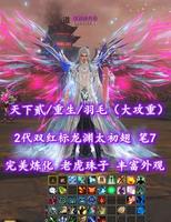 【天下贰/重生/羽毛（大攻重）】2代双红标龙渊太初翅！笔7！老虎珠子！超多赠送！——星枕步月台