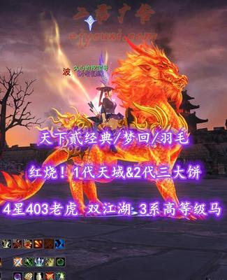 【天下贰经典/梦回/羽毛】69级！红烧！1代天域&2代三大饼！4星403老虎！双江湖！3系高等级马！业火时装+火麒麟坐骑——久心的挖宝号