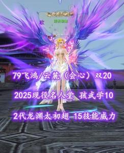 【79飞鸿/云麓（会心）】2025现役名人堂！双20！2代龙渊太初翅！15技能威力！孩武学10！觉醒全10！英魂20——淡云轻寒