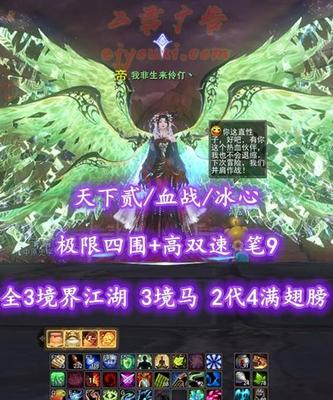 【天下贰/血战/冰心】极限四围+高双速！笔9！全3境界江湖+3境界马特技！2代常规4满+17008高特权“龙渊”太初翅+全5代传世翅膀+3神龙等豪华外观——我非生来伶仃丶