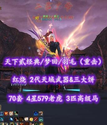 【天下贰经典/梦回/羽毛（重击）】红烧！72级！2代天域武器&三大饼+70套！4星579老虎！3匹高级马——青阙丨丶秦总