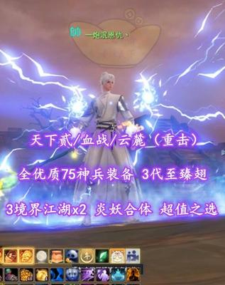 【天下贰/血战/云麓（重击）】全优质75神兵装备！3代至臻翅！3境界江湖x2！炎妖合体！超值之选——一炮泯恩仇丶