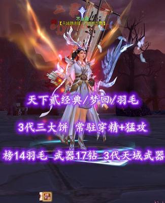 【天下贰经典/梦回/羽毛（会心）】榜17羽毛！武器18钻！3代天域武器&3代三大饼！常驻穿精+猛攻+火元防护！4星601老虎！3系全80满级马！“归真+帝宸+开阳”等时装外观——不加溏
