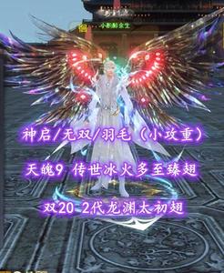 【神启/无双/羽毛（小攻重）】双20！2代龙渊太初翅！天魄9！传世+冰火+多至臻翅——小酌醉余生