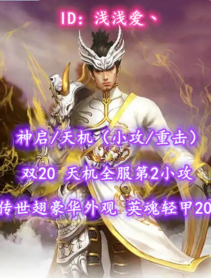 【神启/无双/天机（小攻/重击）】双20！天机全服第2小攻！传世翅豪华外观！英魂轻甲20！孩武学10！天书灵耀马丹全8——浅浅爱丶