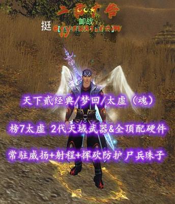 【天下贰经典/梦回/太虚（魂）】榜7太虚！72级！2代天域武器&全顶配硬件！常驻威扬+射程+挥砍防护！尸兵珠子！——卹战
