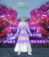 【神启/无双/太虚（会心）】双19！2代3红标龙渊太初翅！全16威力！孩武学10！顶级马灵化——藏于迷雾的灯丶