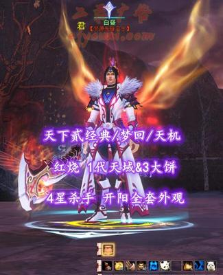 【天下贰经典/梦回/天机】红烧！1代天域&3大饼！4星杀手！开阳全套外观——白昼