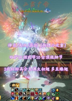 【神启/无双/弈剑（物理小攻重）】双护18！孩武学10！全顶级细节！2代红标高分龙渊太初翅+多至臻翅+5套神临时装！——灬五丶月灬