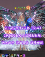 【天下贰/重生/天机（会心）】2代5000金尺寸龙渊太初翅！两大珠子！毕业装备！海量赠送——雪霁丷芒果