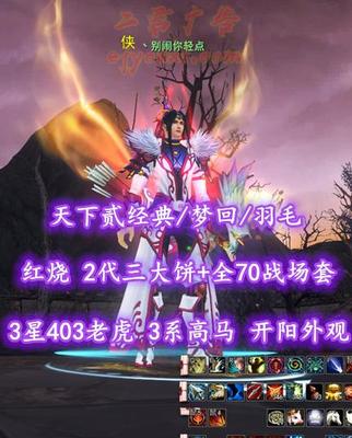 【天下贰经典/梦回/羽毛（会心）】红烧！72级！2代三大饼+全70战场武器/防具！3星403老虎！3系高级马！开阳套外观——丶别闹你轻点