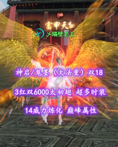 【神启/鬼墨（大法重）】3红双6000太初翅（单卖）！孩武学10！14威力炼化！神来笔7！——乄隔壁老王