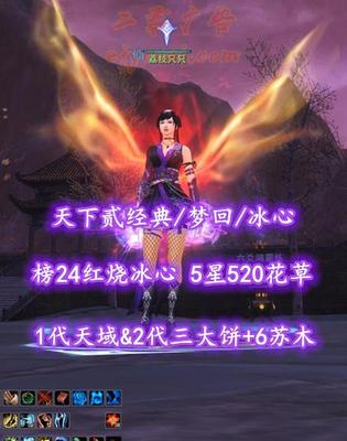 【天下贰经典/梦回/冰心】榜24红烧冰心！1代天域&2代三大饼+6苏木！5星520花草！——荔枝只只