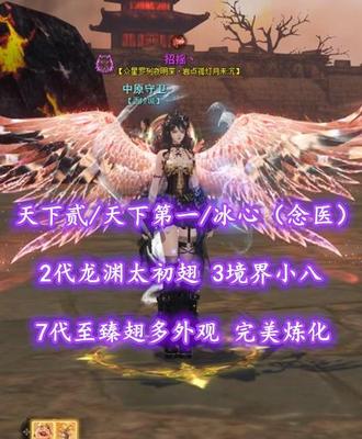 【天下贰/天下第一/冰心（念医）】2代龙渊太初翅+7代至臻翅多外观！3境界小八！超值之选——招摇丶