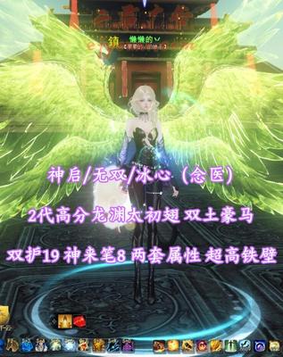 【神启/无双/冰心（念医）】双护19！神来笔8！两套属性！超高铁壁！2代高分龙渊太初翅+双土豪马+4神临等外观！——懒懒的丷