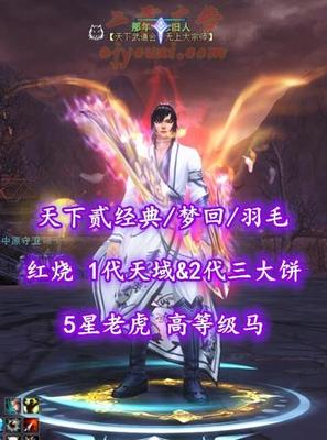 【天下贰经典/梦回/羽毛】红烧！1代天域&2代三大饼！武器升级18手！5星老虎——那年丶念旧人