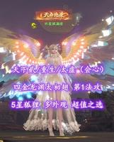 【天下贰/重生/太虚（会心）】四金龙渊太初翅！第1法攻！5星狐狸！超值之选——昨夜枫满楼
