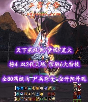 【天下贰经典/梦回/荒火（会心）】榜4荒火！双2代天域！常驻6大特技！全80满级马！尸兵珠子！全开阳外观——丷开伈乀