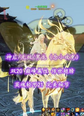 【神启/无双/男龙（念小攻重）】双20！传世翅+英魂轻甲21+毕业双大禹镯——潍坊老赖