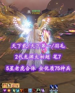 【天下贰/天下第一/羽毛（大攻重）】2代龙渊太初翅！5星老虎合体！笔7！全优质75神兵——骑猪快跑