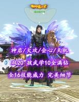 【神启/大攻/会心/天机】双20+孩武学10全满钻！全16技能威力！完美细节——昆山张三丰