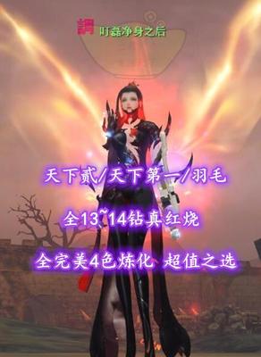 【天下贰/天下第一/羽毛（大攻重）】全13~14钻真红烧！全完美4色炼化！超值之选——叮磊净身之后