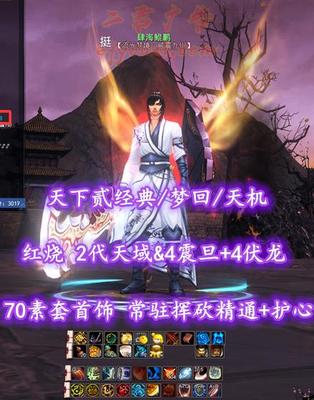 【天下贰经典/梦回/天机（念追电）】红烧！2代天域&4震旦+4伏龙+70素套首饰！常驻挥砍精通+护心！5星602杀手！3匹高等级马——肆海鲲鹏