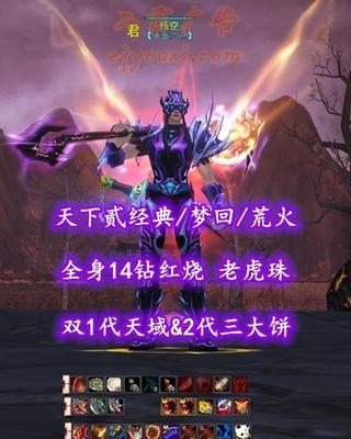 【天下贰经典/梦回/荒火】全身14钻红烧！双1代天域&2代三大饼！老虎珠！3系高等级马——悟空