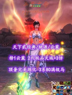 【天下贰经典/桃源/云麓】榜1云麓！2代极品天域+3饼！顶奢完美炼化！3系80满级马！4星530炎妖！全开阳全套外观——布布嘟嘟