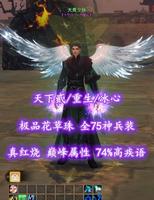 【天下贰/重生/冰心】真红烧！74%高疾语！极品花草珠！全75神兵装———大荒少侠