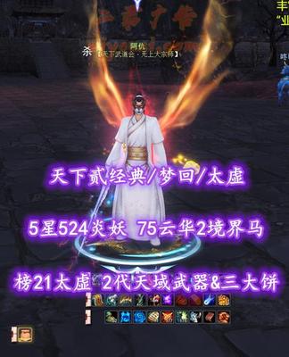 【天下贰经典/梦回/太虚】榜21太虚！72级！2代天域武器&三大饼！5星524炎妖！75云华2境界马！业火时装——阿仇